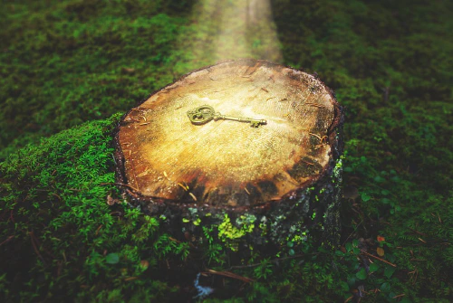 Löydä IPTV Suomessa: Täydellinen opas